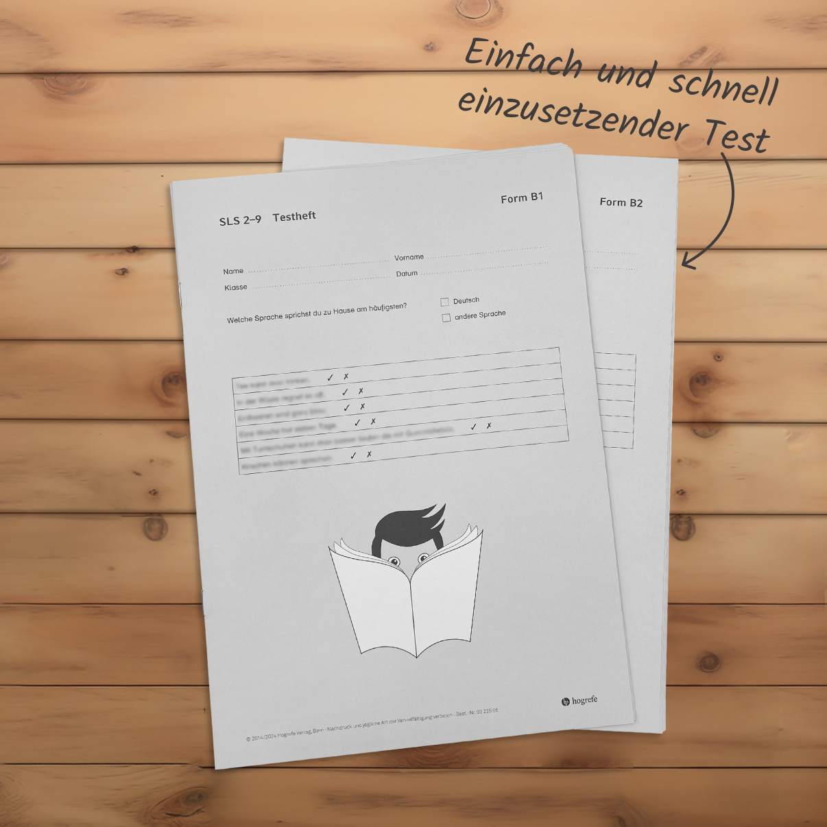 meister-cody-sls-2-9-lesescreening-test-komplett image 3