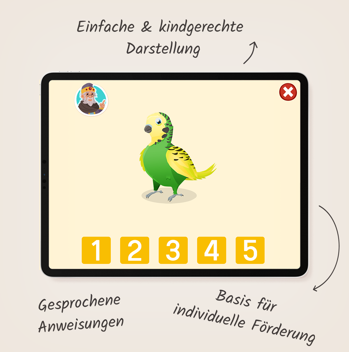 meister-cody-cody-d-1-4-lesetest-kleingruppe-5-pl-tze image 4