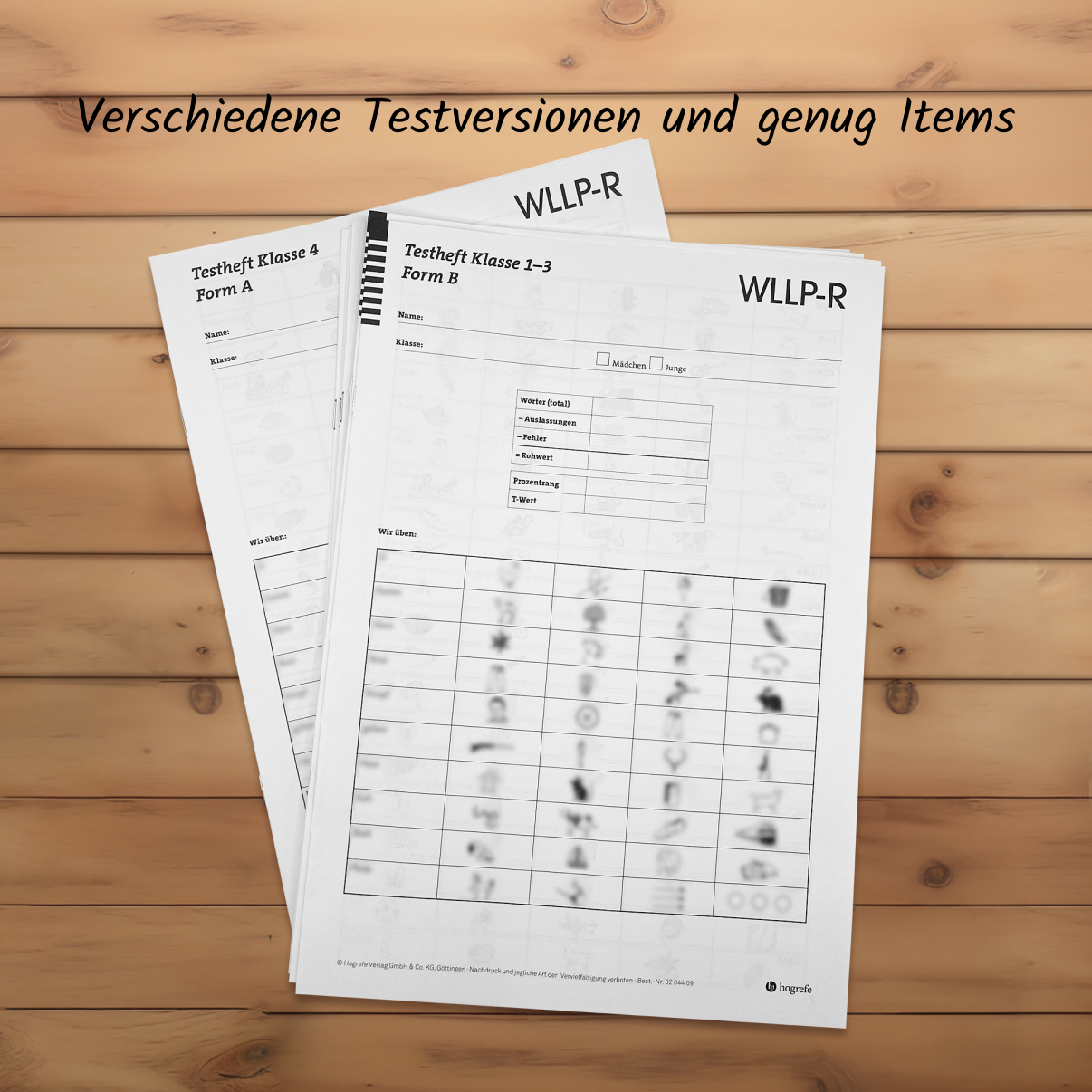 meister-cody-wllp-r-leseprobe-klasse-1-4-test-komplett image 3