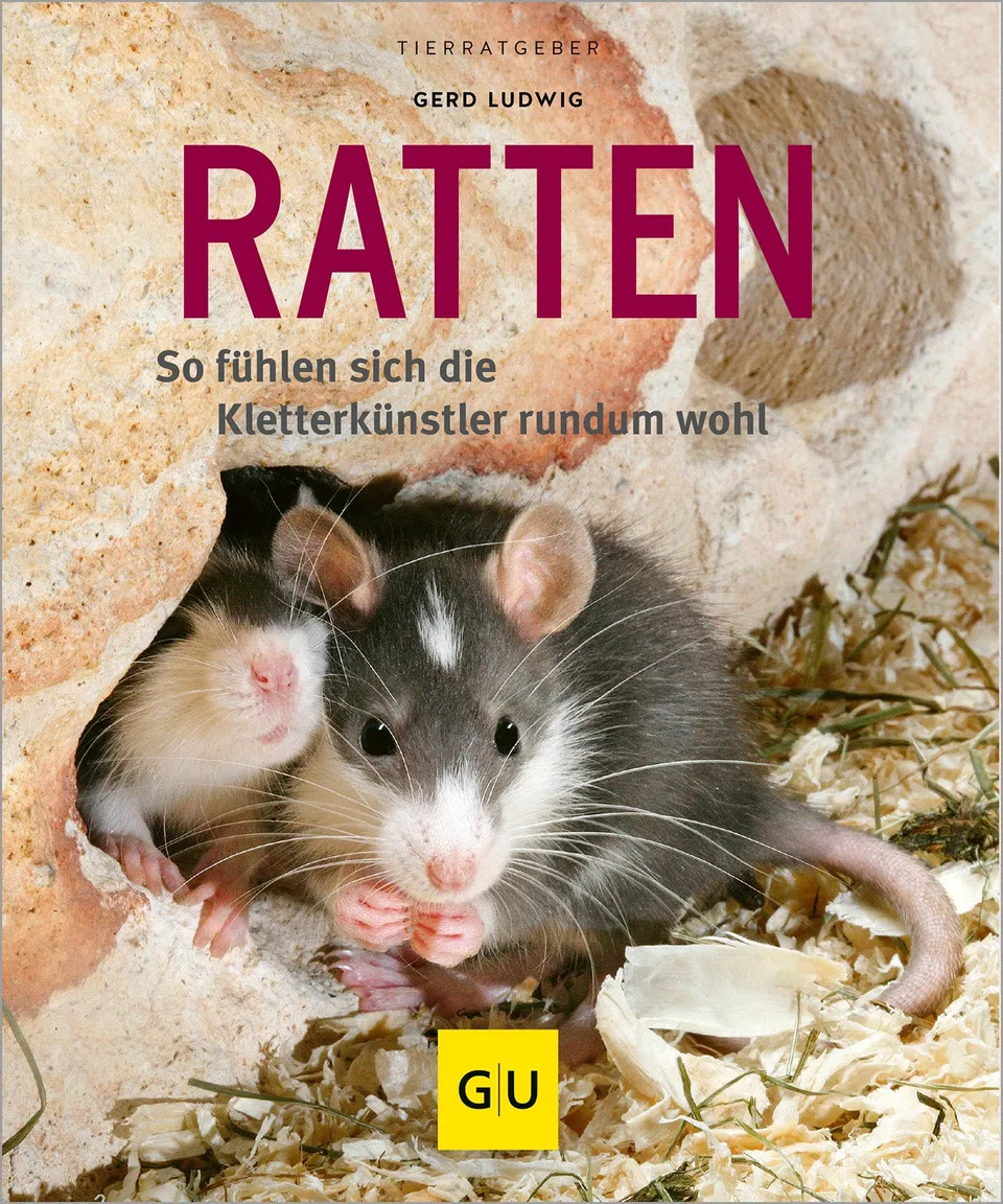 gu-kompass-ratten-buch-haltung-pflege image 1