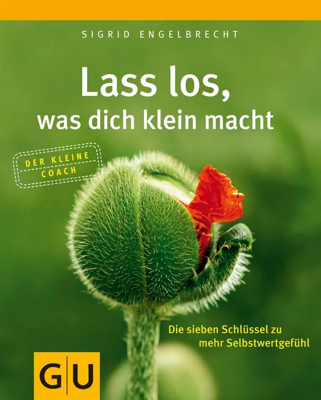 gu-kompass-lass-los-was-dich-klein-macht-e-book-selbstwert image 1