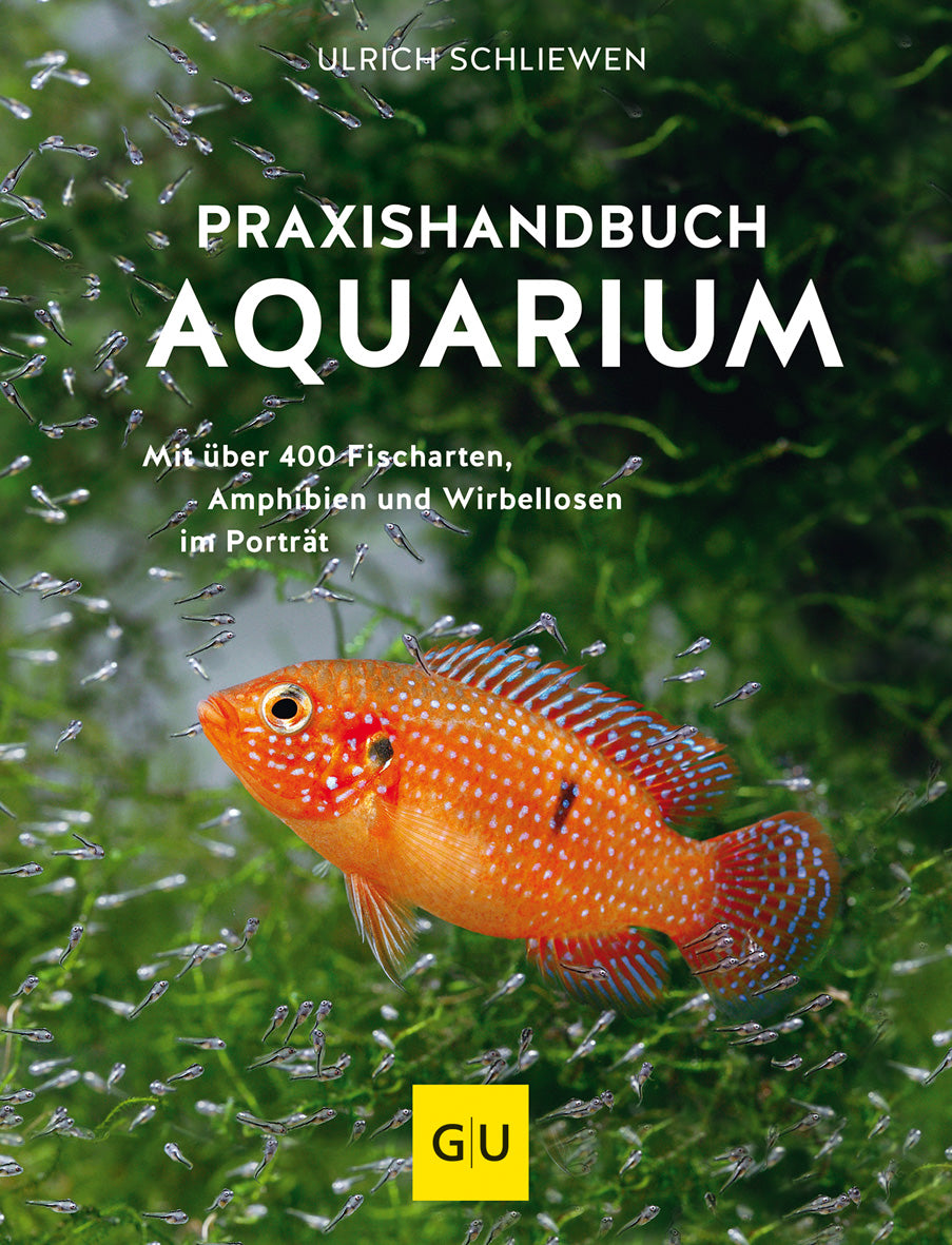 gu-tierratgeber-praxishandbuch-aquarium-buch-s-und-meerwasser image 2