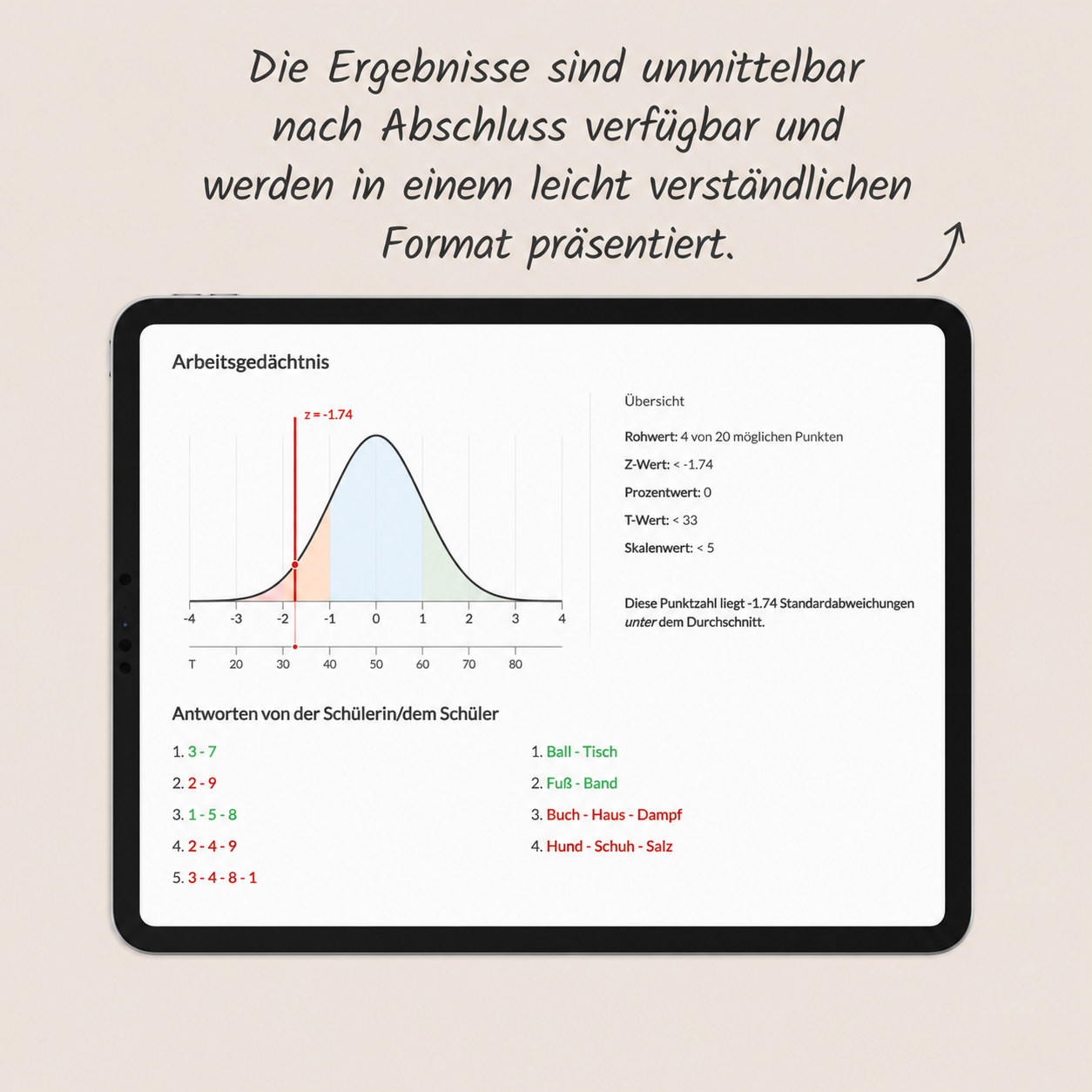 meister-cody-dysmate-c-test-klasse-2-6-basis-1-nutzer image 5