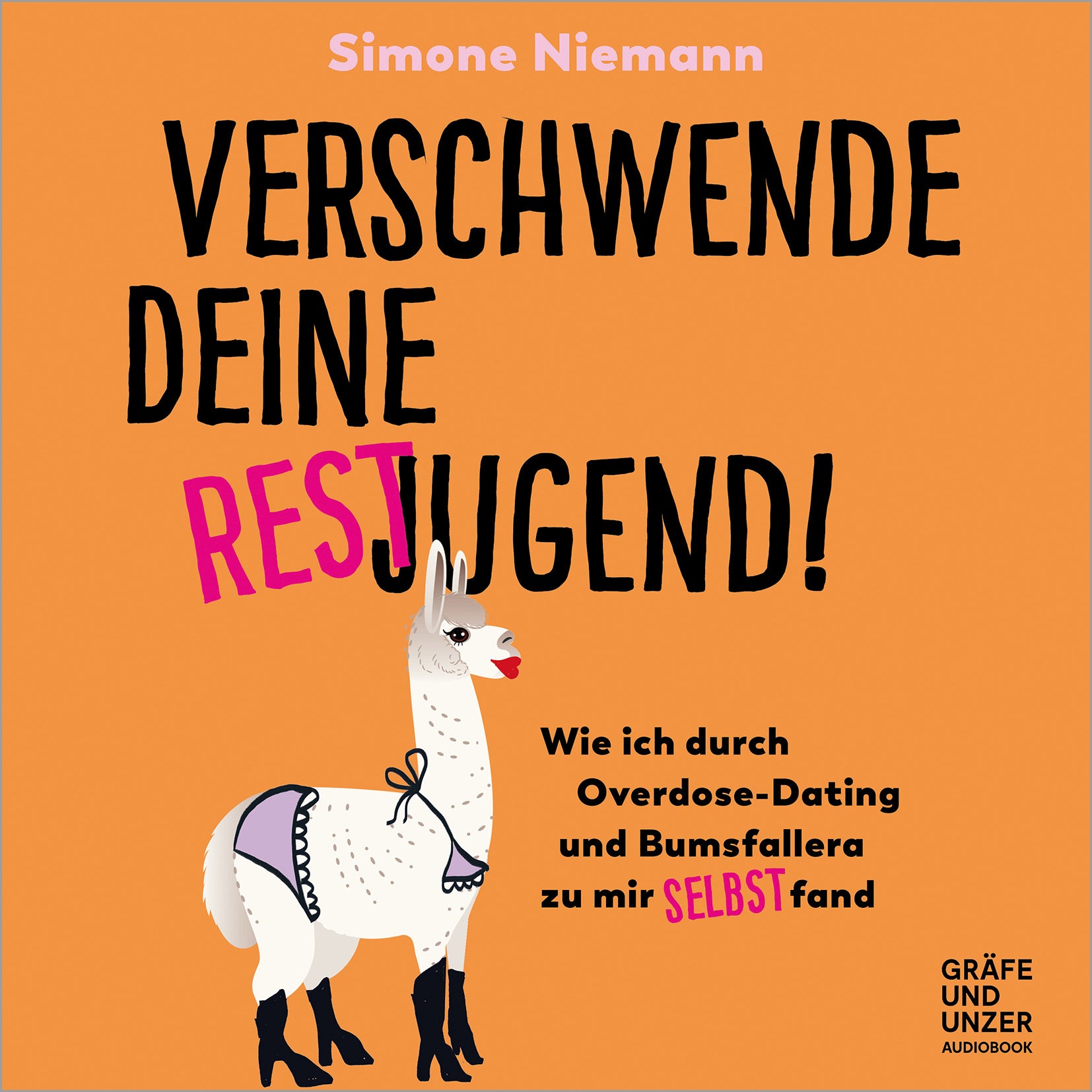 gu-kompass-verschwende-deine-restjugend-buch-midlife-humor image 3