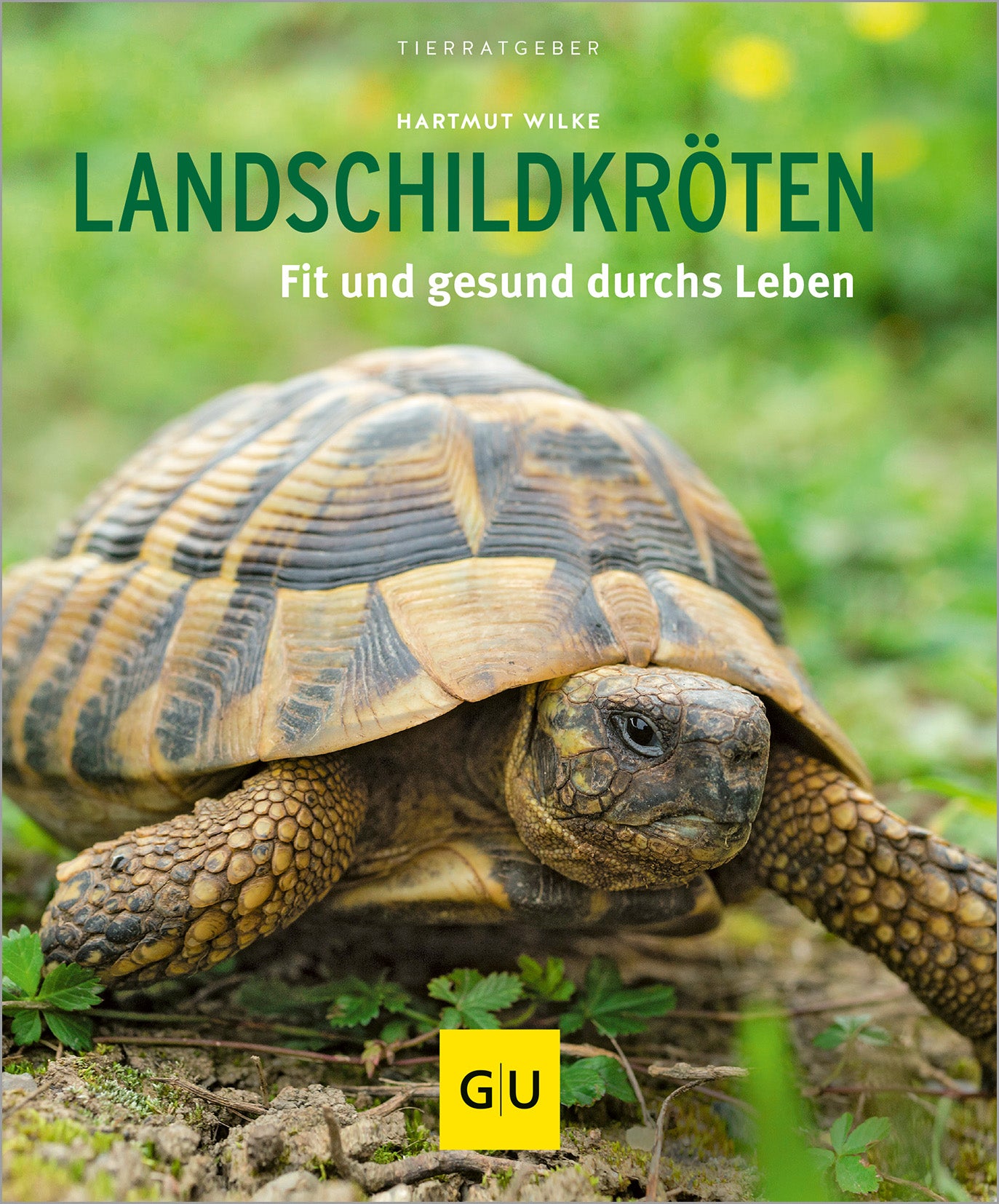 gu-tierratgeber-landschildkr-ten-buch-artgerechte-haltung image 2