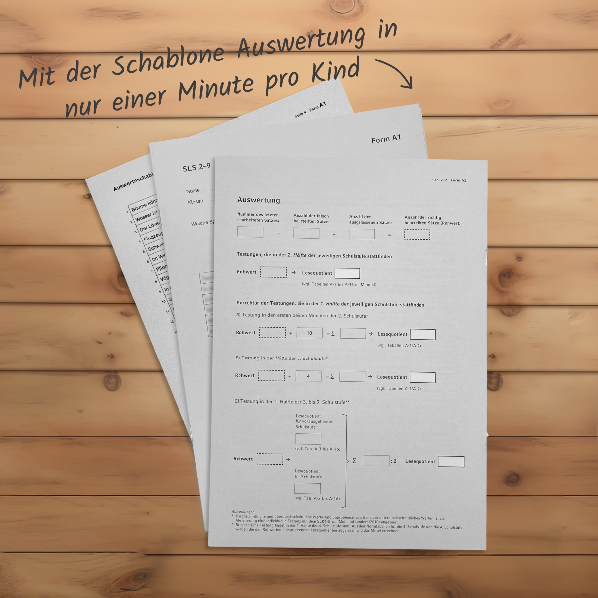 meister-cody-sls-2-9-lesescreening-test-komplett image 4