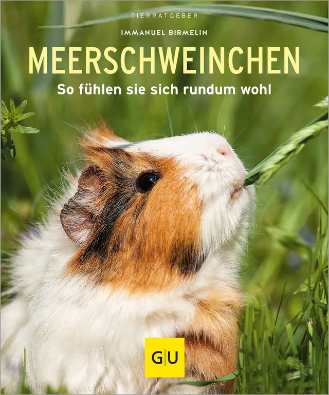 gu-tierratgeber-meerschweinchen-buch-haltung-pflege-birmelin image 1