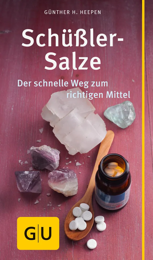 gu-kompass-sch-ssler-salze-e-book-mineralstoffe-selbstbehandlung image 1