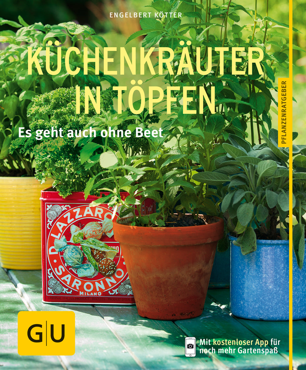 gu-pflanzenratgeber-k-chenkr-uter-in-t-pfen-gartenbuch-e-book image 1