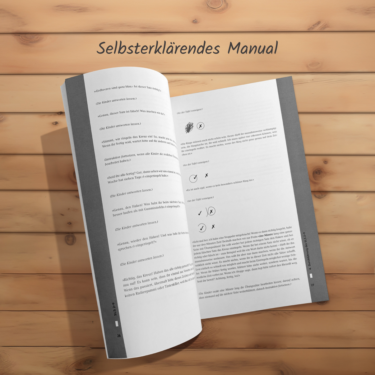 meister-cody-sls-2-9-lesescreening-test-komplett image 2