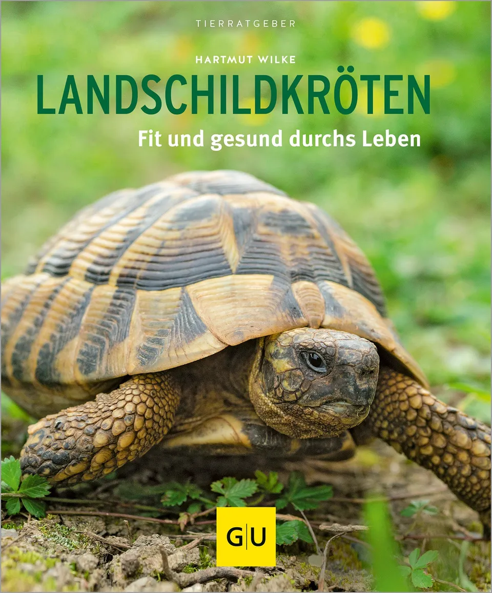 gu-tierratgeber-landschildkr-ten-buch-artgerechte-haltung image 1
