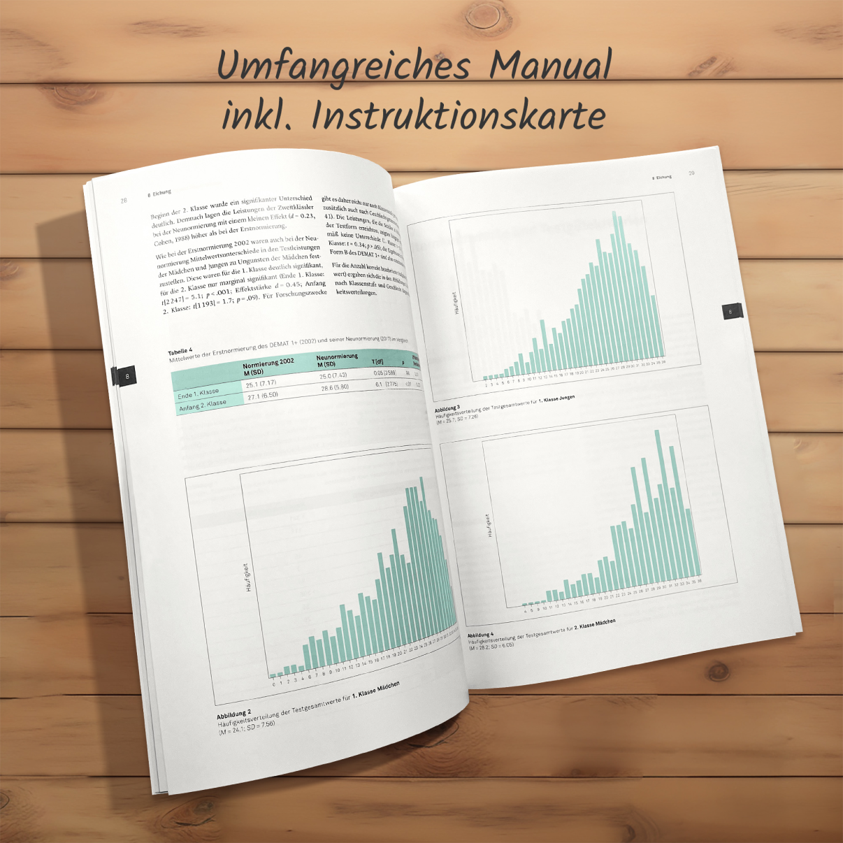 meister-cody-demat-1-mathetest-20-testhefte-inkl-schablonensatz image 2