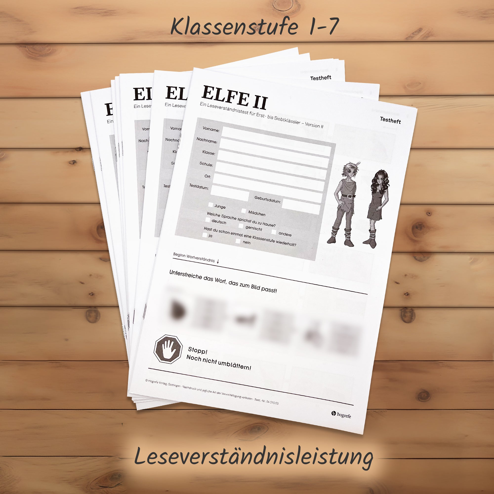 meister-cody-elfe-ii-lesekompetenztest-20-testhefte-lesen-klasse-1-7 image 4