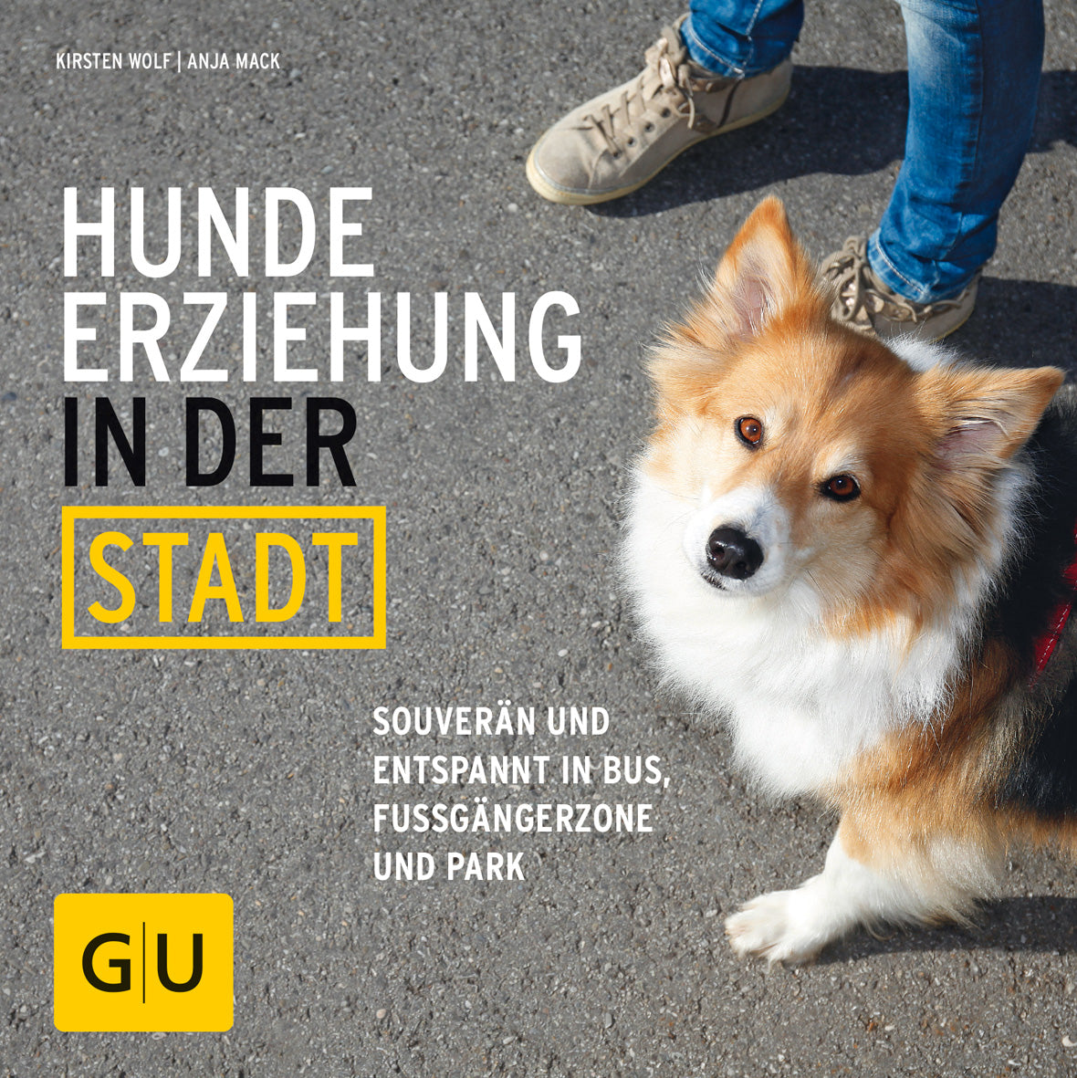 gu-tierratgeber-hundeerziehung-in-der-stadt-e-book-stressfrei image 1