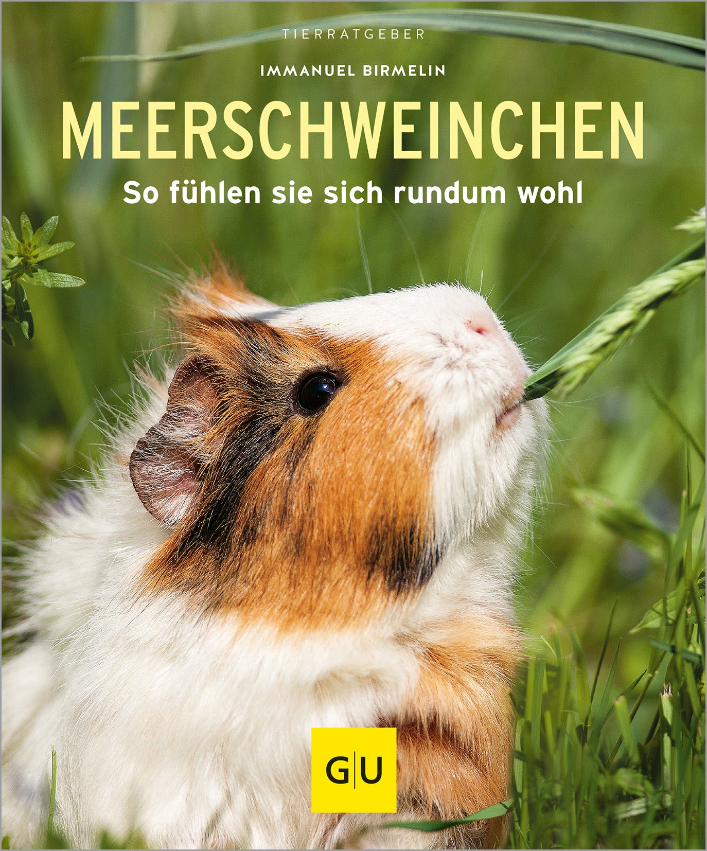gu-tierratgeber-meerschweinchen-buch-haltung-pflege-birmelin image 1